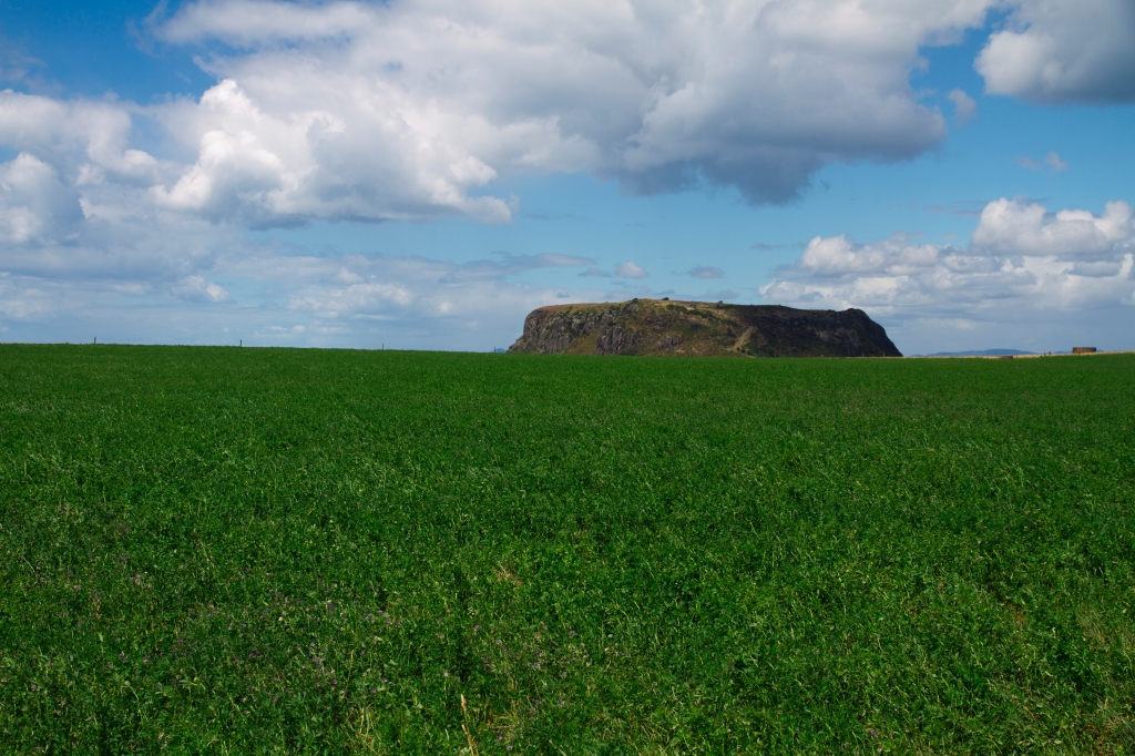 21 - The Nut (9).jpg